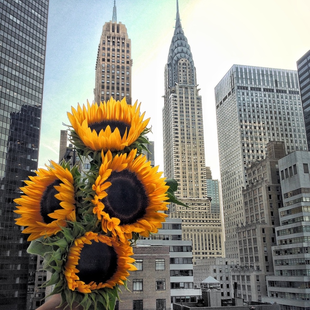 Meet your Posher, Seanna